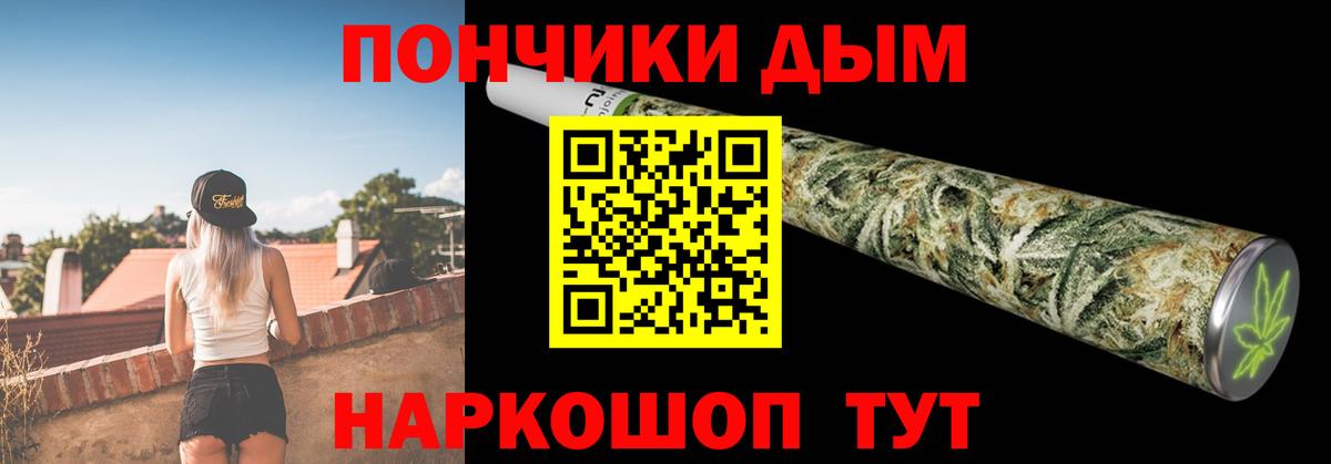 Канабис сатива Сокол